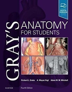 Grey's anatomy for students
