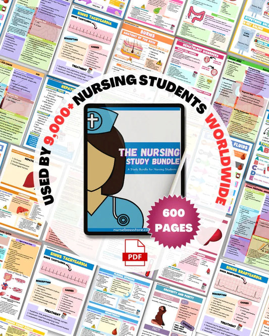 Nursing mega bundle workcheat download (pdf file)